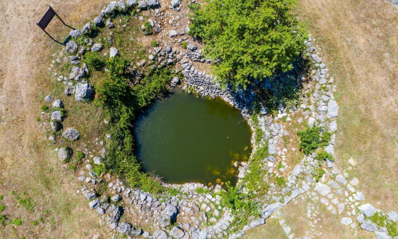 Villa Majkovica Orasac Eksteriør bilde